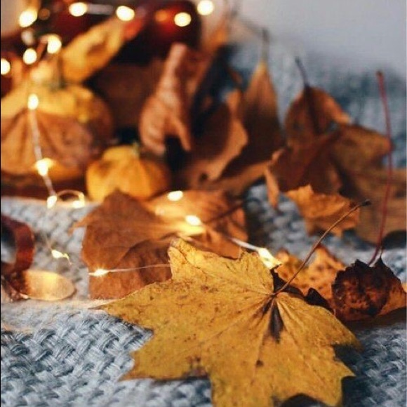 Read description!😊 - Picture 2 of 4